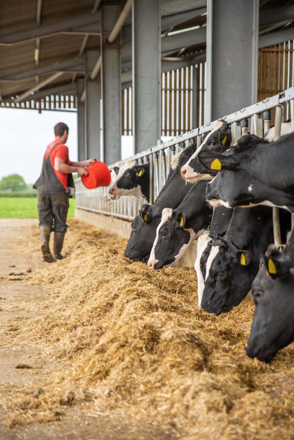 Willows Farm Vets (Web) 101