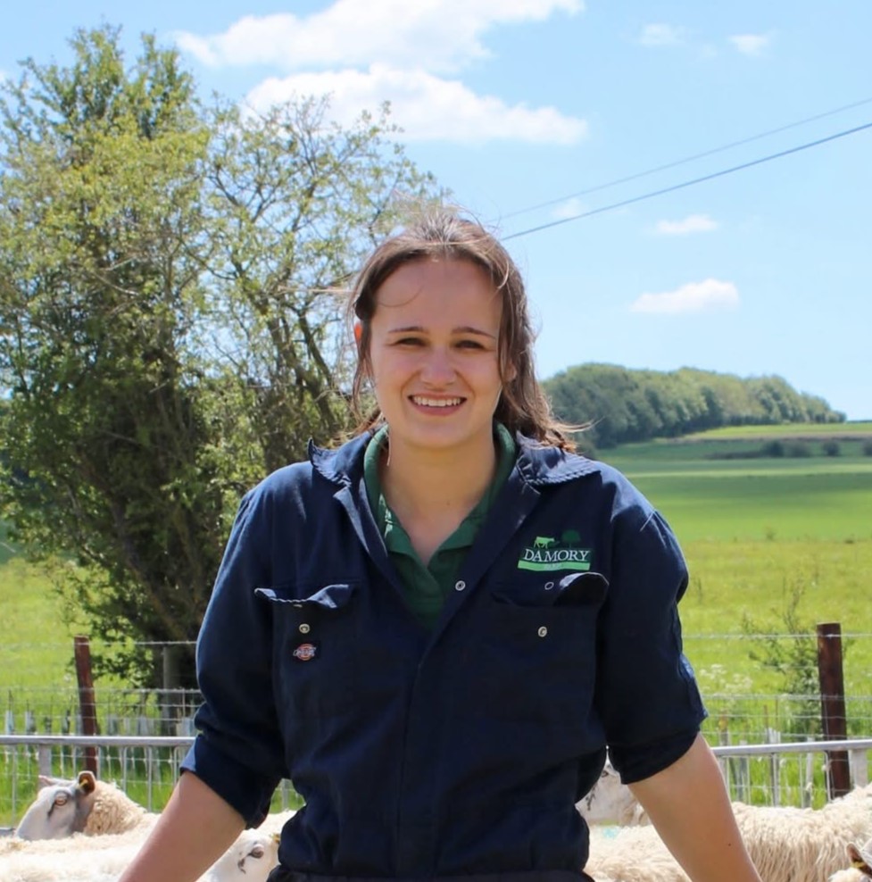Damory Vets - Laura Pugh