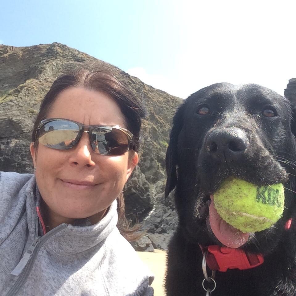 6562912e-0c1b-419b-8e64-11cb677db072