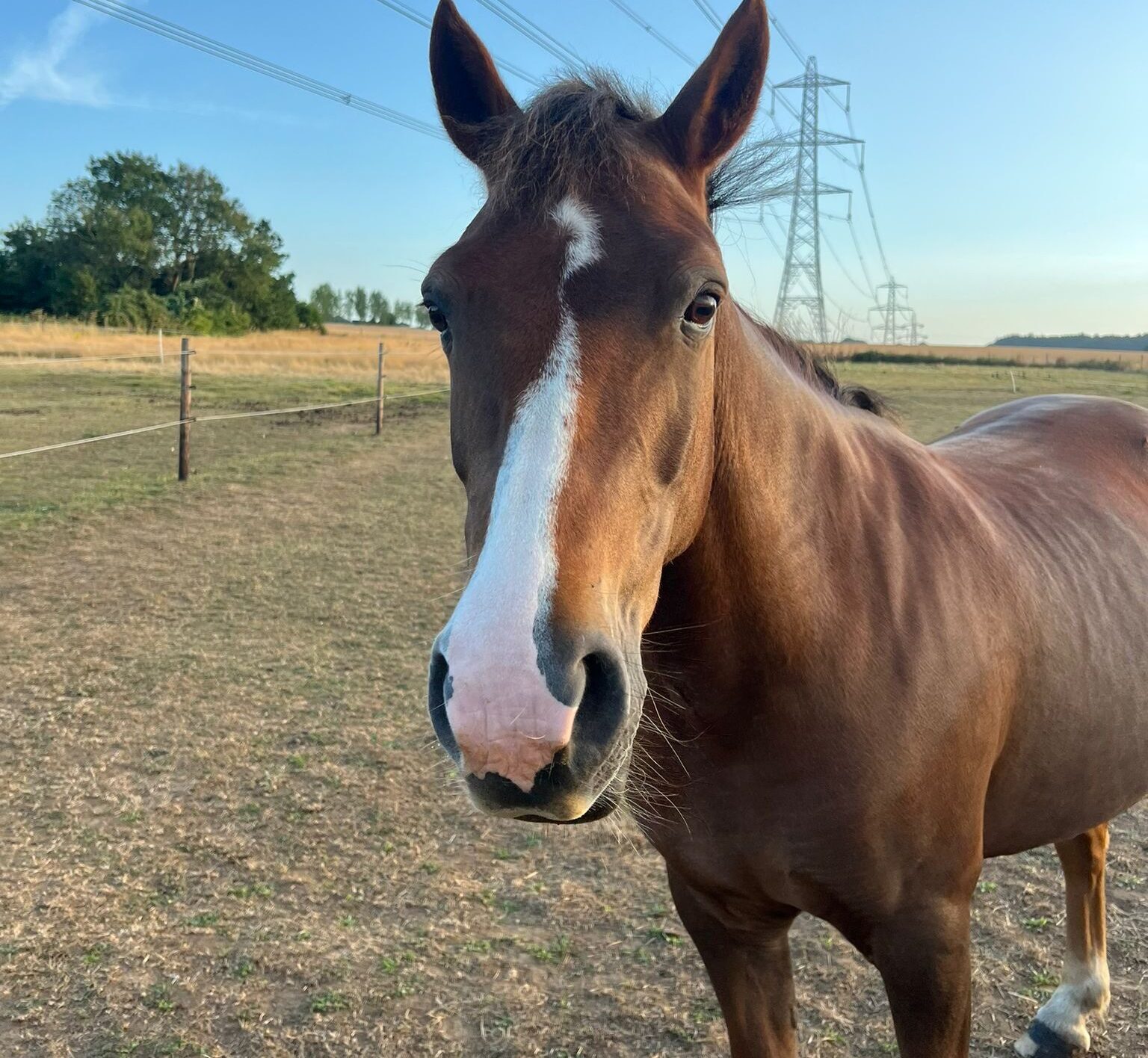 PHOTO-2025-07-17-13-21-54